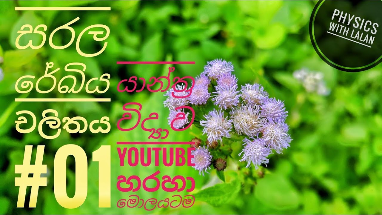 සරල රේඛීය චලිතය - (Mechanics) Part 01