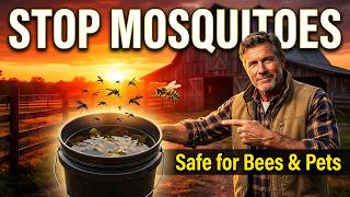 Stop Mosquitoes Before They Fly! The Simple Amish Method Explained