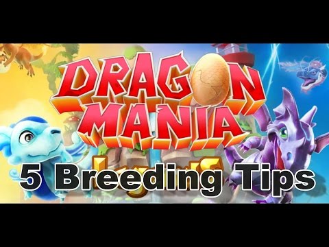 Dragon Mania Legends - 5 Basic Breeding Tips!