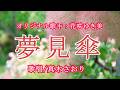 夢見傘(花咲ゆき美さん)唄/真木さおり