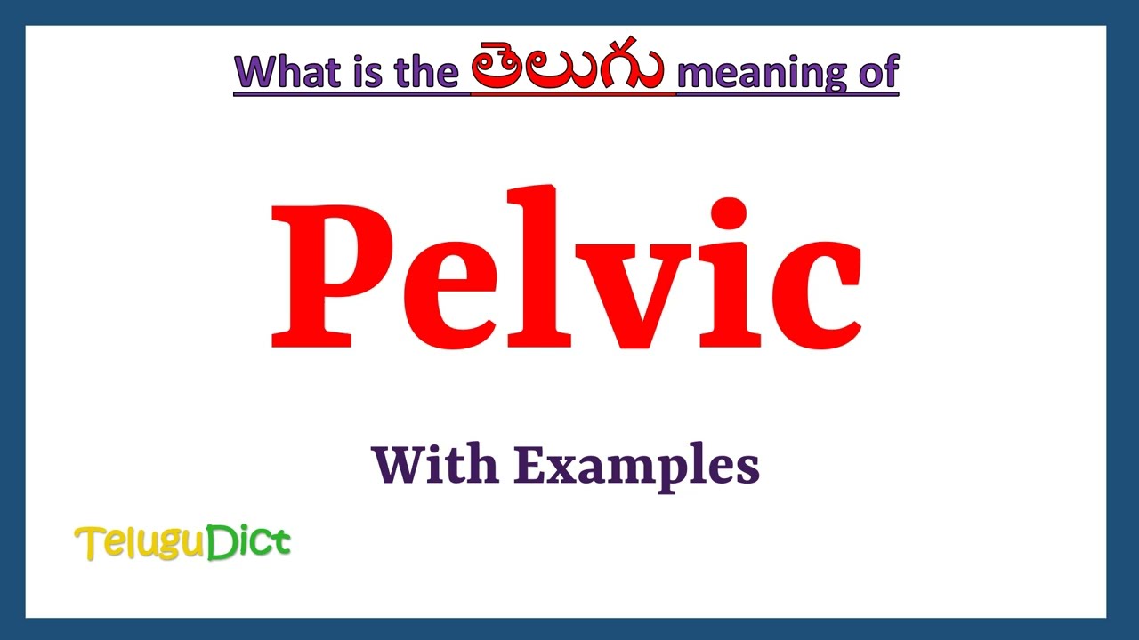 Pelvic Meaning In Telugu