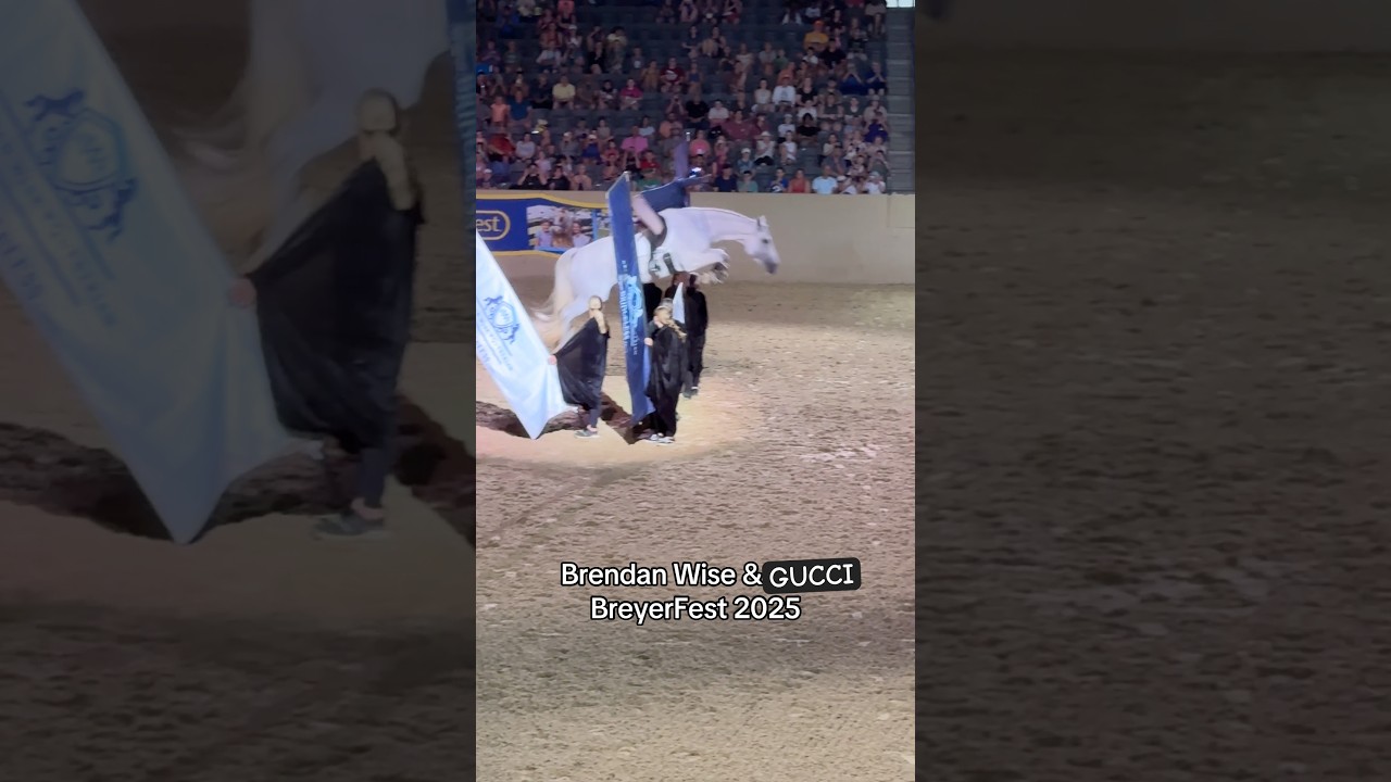 BreyerFest 2025 bridleless jumping - Brendan Wise & Gucci. 