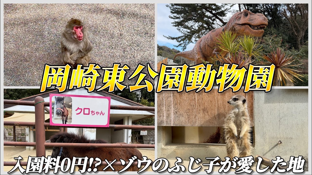 【検証】心が荒んだ男が、岡崎の「無料動物園」を1周したら目は輝くのか？【岡崎東公園動物園】
