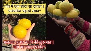 गलगल अचार बनाने की शुरुआत | गाँव का पहला प्रयोग
