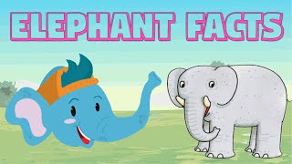 Elephant Facts for Kids - Interesting facts about elephant - Elephant Facts in English