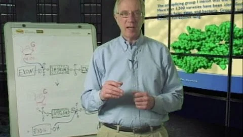 Tom Cech (University of Colorado, Boulder/HHMI): D...