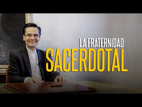 21. La fraternidad sacerdotal: nadie está llamado a vivir el sacerdocio solo