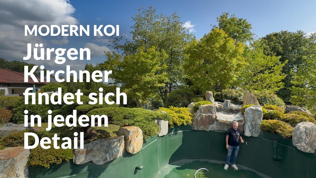 Stefans Japangarten mit 90.000 Liter Koiteich  | Modern Koi Blog #7833