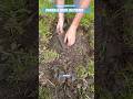 Drainage Basin Lost &amp; Found - Tampa Exterior Drainage