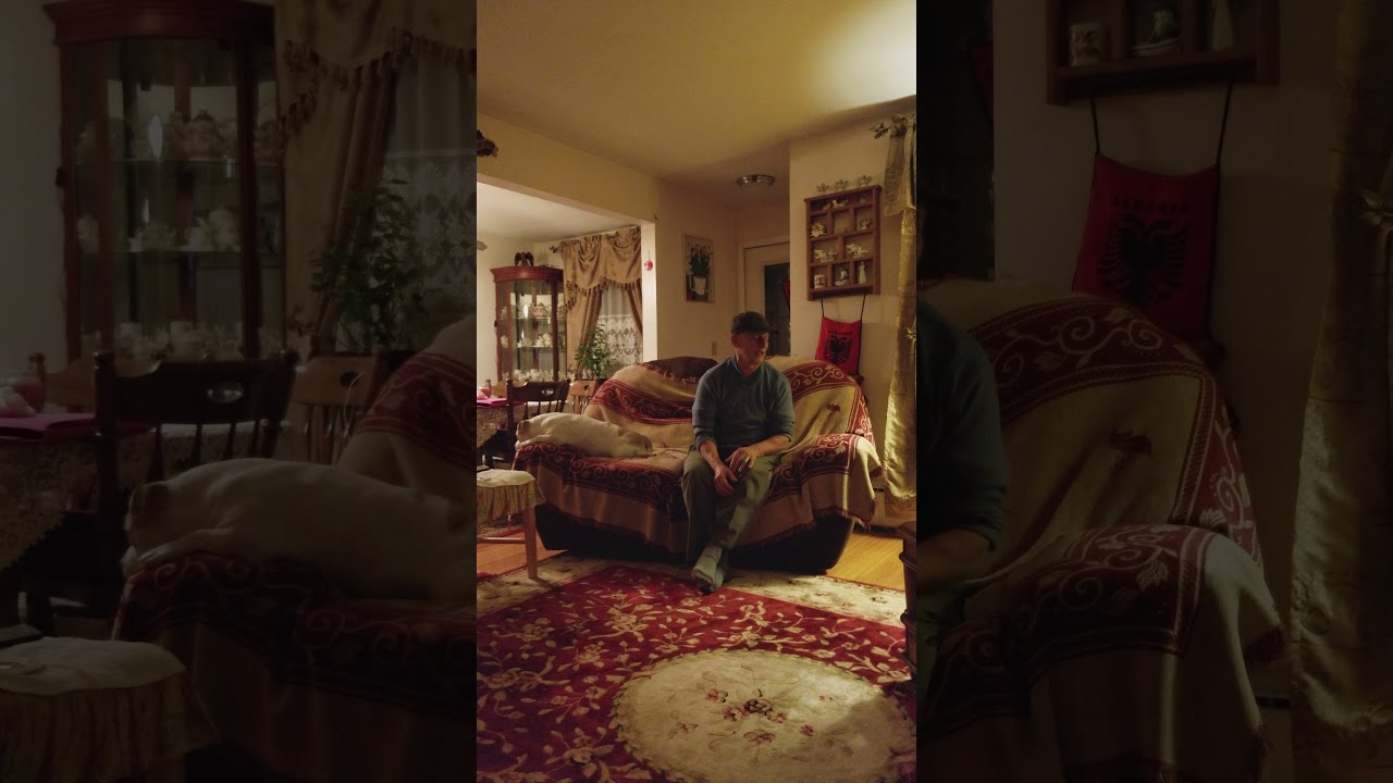 O vemi o zvemi serenata hocishtare