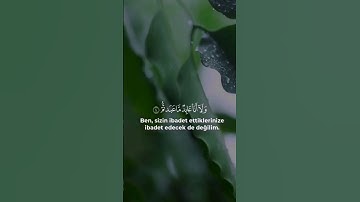 سورة الكافرون - ياسر الدوسري