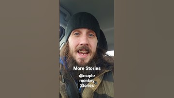 These Dogs Kept Committing Suicide!