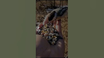 اكتب شئ تؤجر عليه 🤍🤍تلاوه مريحه للقلب ( اللهم اجعلنا من عبادك الصالحين )