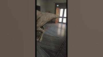 dinosaur in Google 3d