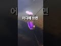 따끈따끈한 신상 스피너베이트 리뷰입니다🥰 페이크스핀🔥 #배스 #배스낚시