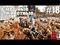 Смешные животные #18 Видео приколы с животными 2018