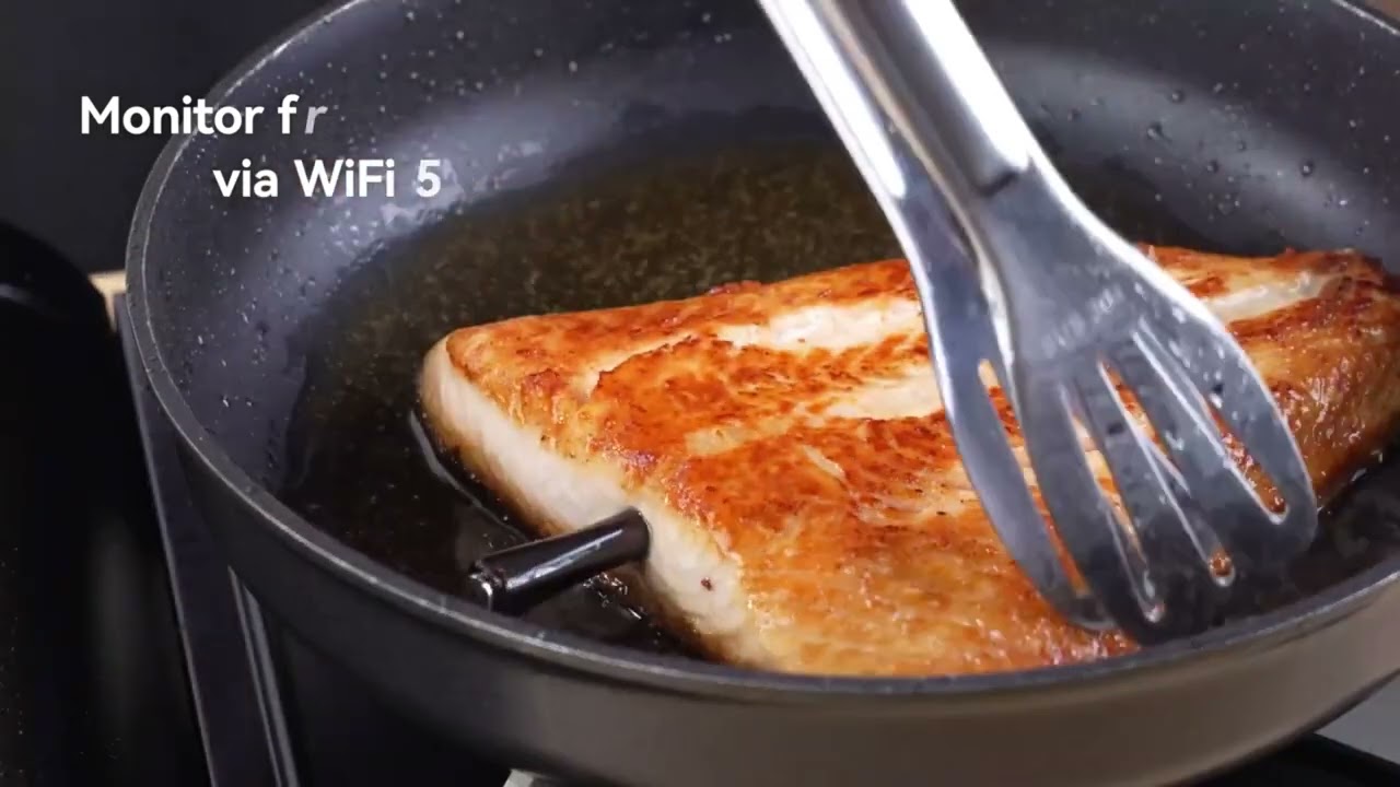 Tempwise WiFi Bluetooth Dual BBQ Meat Thermometer Home Wireles