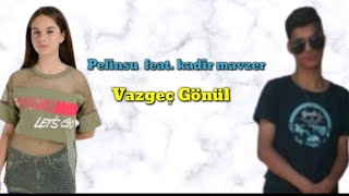 Pelinsu  feat. kadir mavzer - Vazgeç Gönül ( musıc video ) Resimi