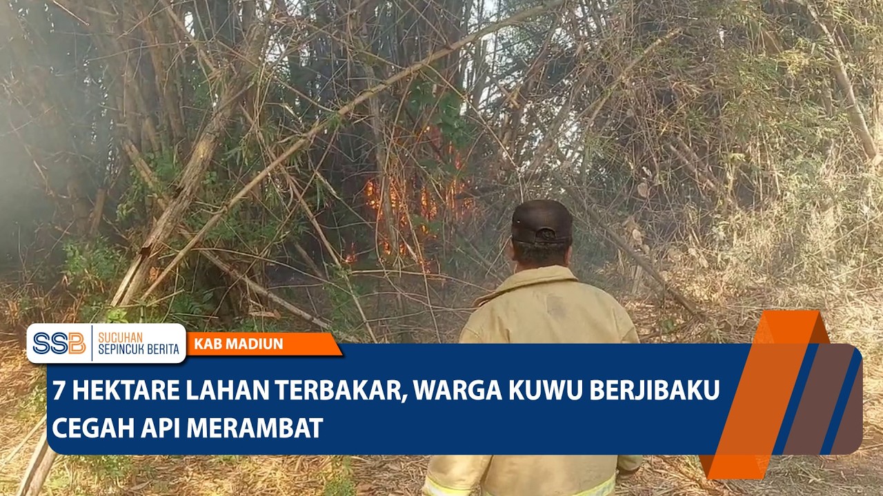 7 Hektare Lahan Terbakar, Warga Kuwu Berjibaku Cegah Api Merambat – KAB MADIUN
