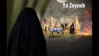 YA Zeyneb(Farsça Sinezen) 2022 Resimi