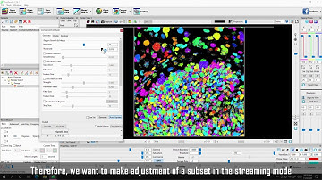 FluoRender Tutorials, Interactive Component Generation in Streaming Mode
