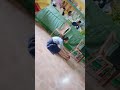 Primary School Yoga Competition Please Watch And Subscribe Primary School Yoga Competition Please Watch And Subscribe