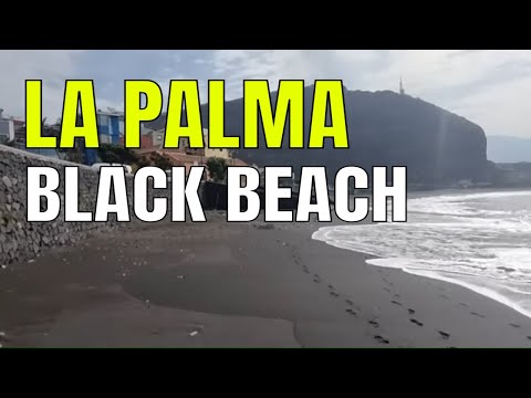 La Palma: My favourite beach! Playa y Puerto de Tazacorte 🌴 20.10