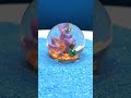 海の生き物スーパーボール その1 Bouncy Ball #shorts