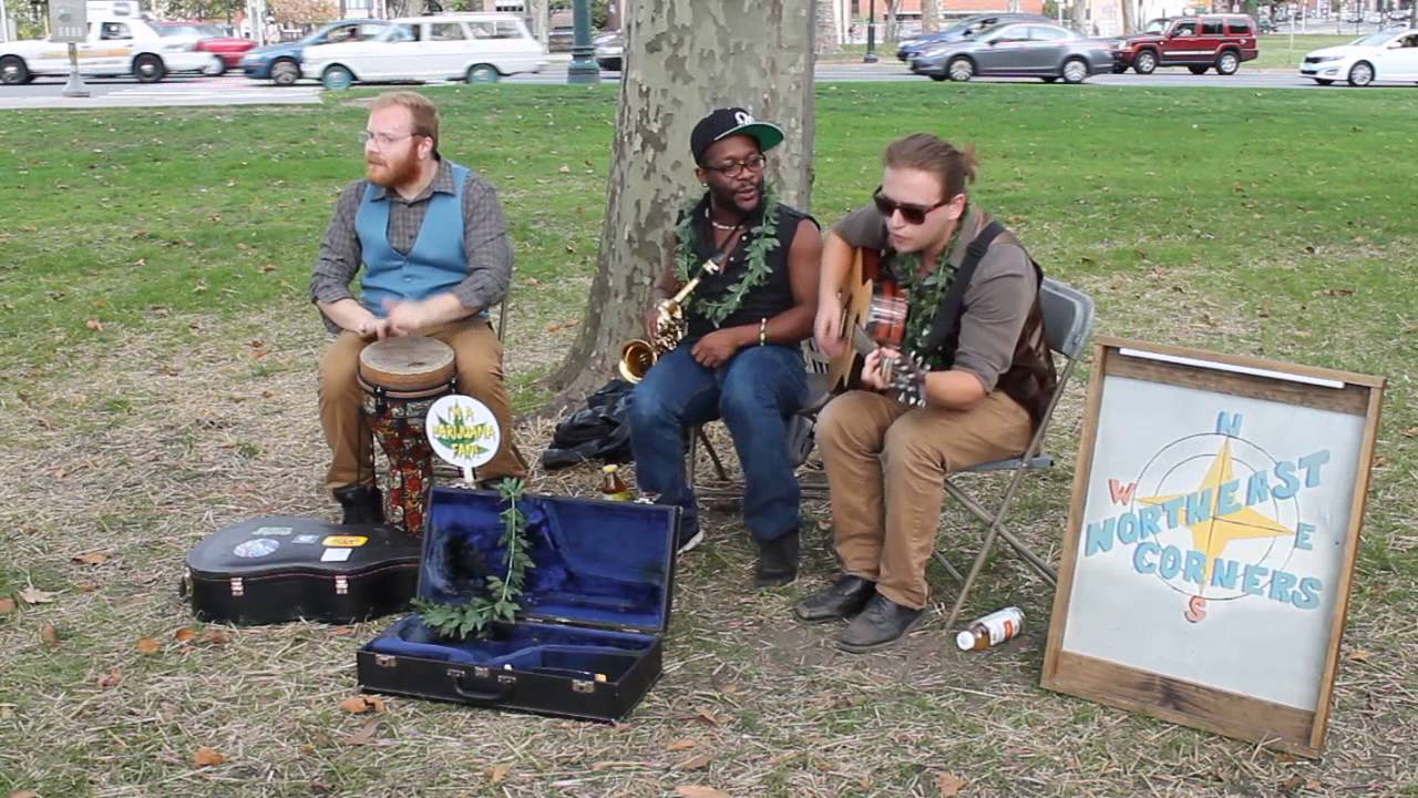 Pop Up Weed Garden - Philadelphia Center City