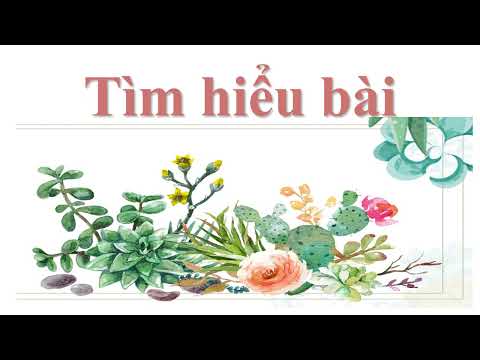 Rước đèn ông sao