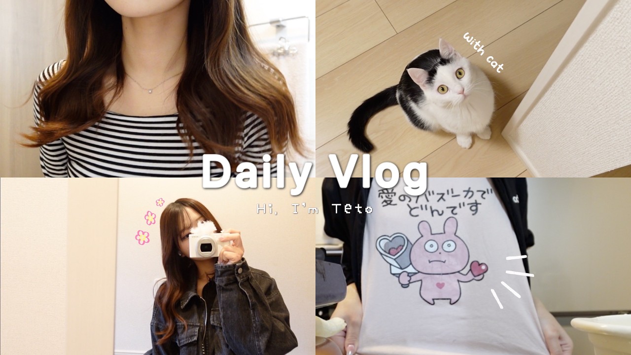【vlog】22歳1LDK1人暮らし猫と過ごす休日🐈~diy &cooking🍳