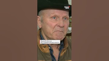 Mini horse ‘Nugget’ brings joy to seniors after surviving near-fatal dog attack