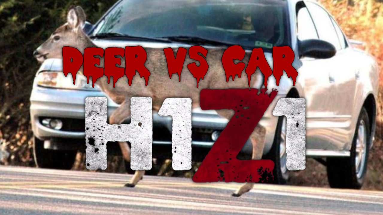 H1Z1 Deer Vs Car YouTube