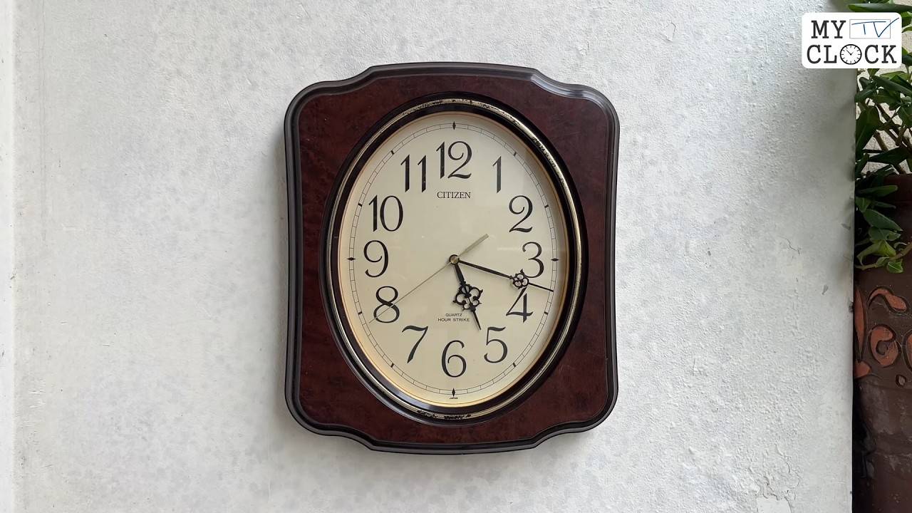 Citizen 8MS604 Hour Strike Wall Clock | Đồng Hồ Treo Tường Nhật