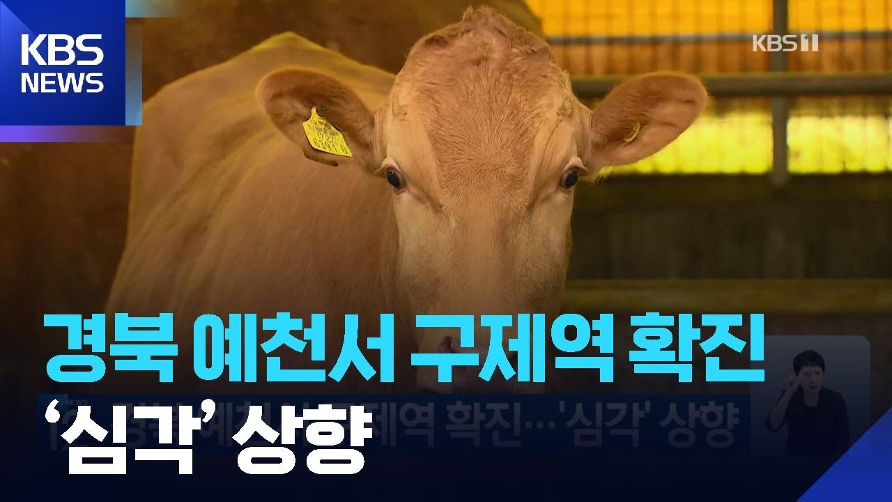 경북 예천서 구제역 확진…‘심각’ 상향 / KBS  2026.07.03.