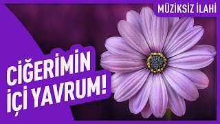 Ciğerimin İçi Yavrum! | Müziksiz İlahiler Resimi