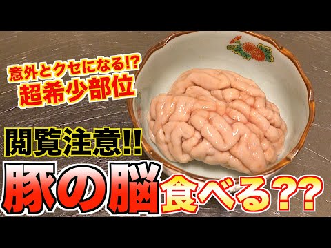 Let's eat the brain of a pig! - YouTube