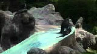 foto 204.avi