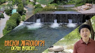 [episode.16] 단양 쉴만한물가펜션!! 시설보다 계곡이지~!!