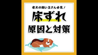 老犬によくある床ずれについて