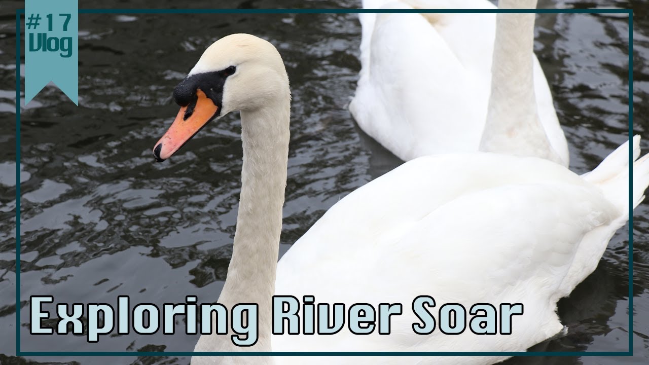 Exploring River Soar