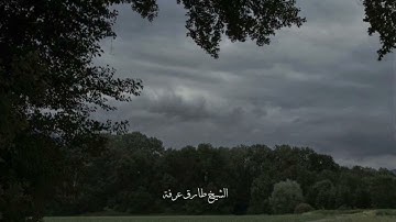 ما تسير من سورة الزمر | الشيخ طارق يوسف عرفة