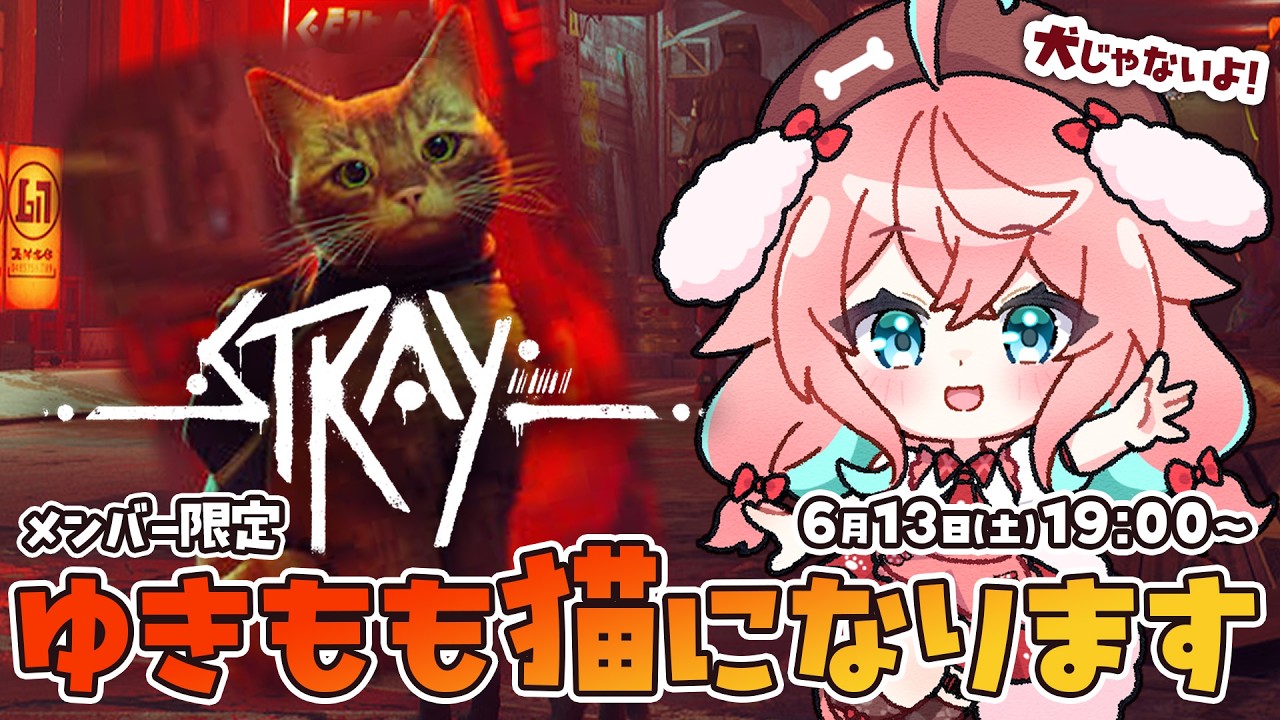 【メンバー限定】猫ちゃん昨日の続きから!STRAY!【ゆきもも/すたすぺ所属】