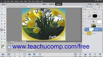 Photoshop Elements 2019 Tutorial Creating Clipping Groups Adobe Training