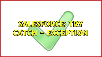 Salesforce: Try Catch - Exception
