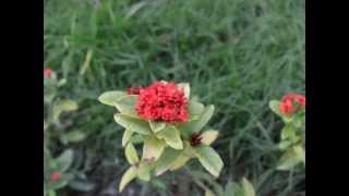 d5100 nikon sharp taken