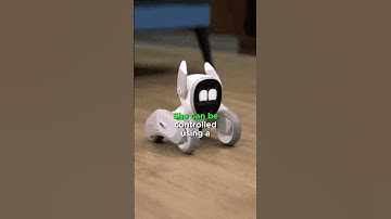 Loona is AI Pet Robot #loona #ai #robot #robotics #shorts #video #trending #viral #foryou #fyp #pets