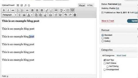WordPress Tutorial ~ How To Format a Blog Post