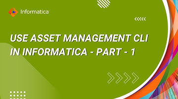 How to Use Asset Management CLI in Informatica (Part - 1)