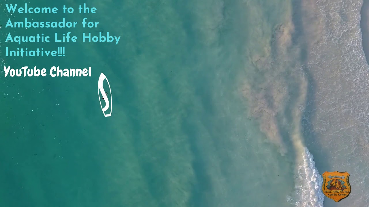 Welcome to the Ambassador for Aquatic Life Hobby Initiative!!!